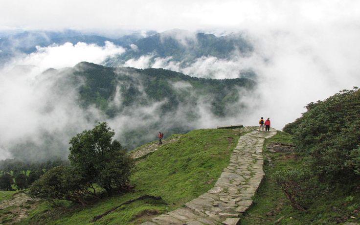 Alpine Bliss: Chopta Camping & Trekking Expedition